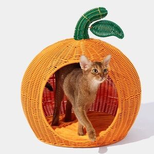 Vibrant Orange Wicker Pet Retreat